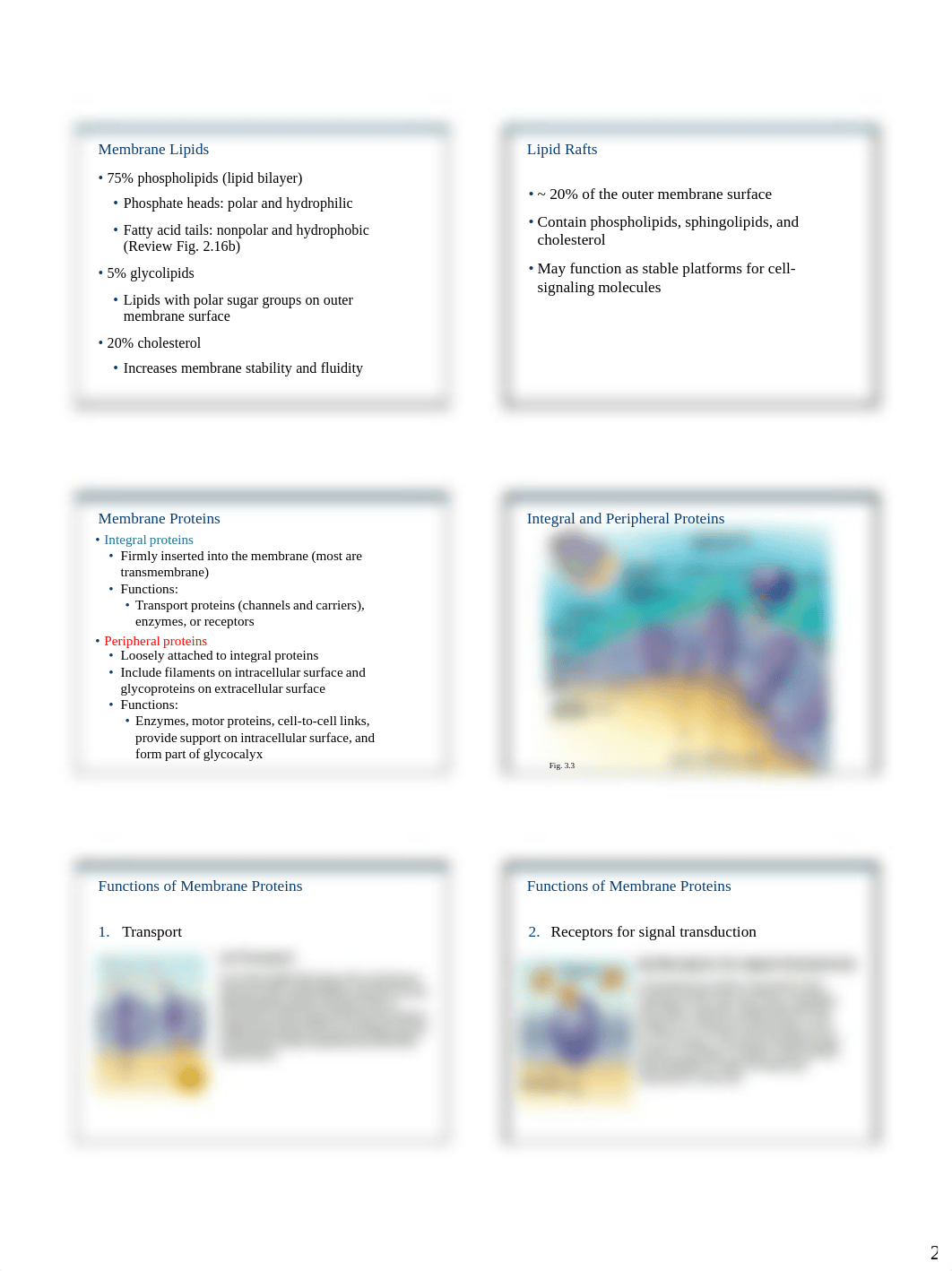 Ch03_Cells_Slides_PartA_Slides.pdf_dsxfxgy13zb_page2