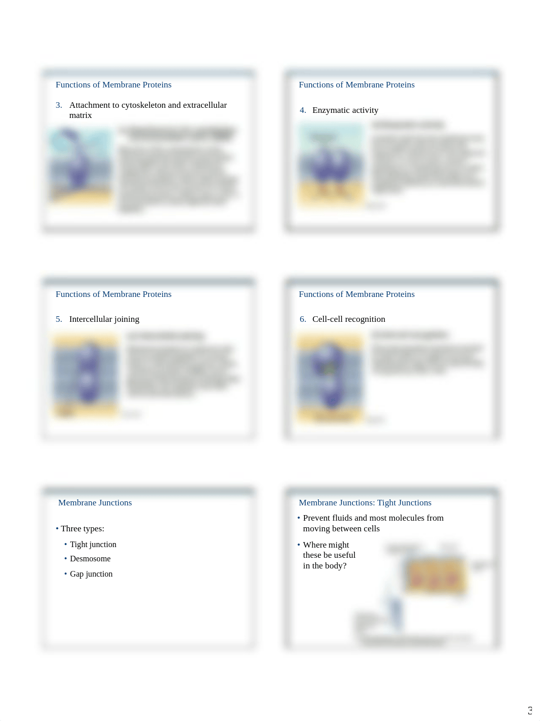 Ch03_Cells_Slides_PartA_Slides.pdf_dsxfxgy13zb_page3