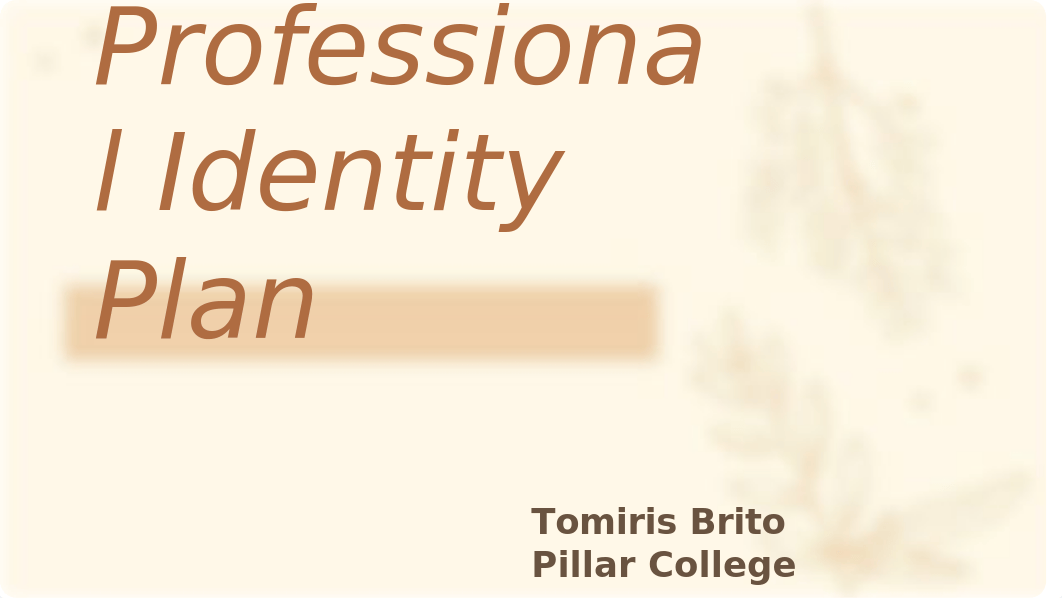 Professional Identity Plan.pptx_dsxl9rklbyb_page1