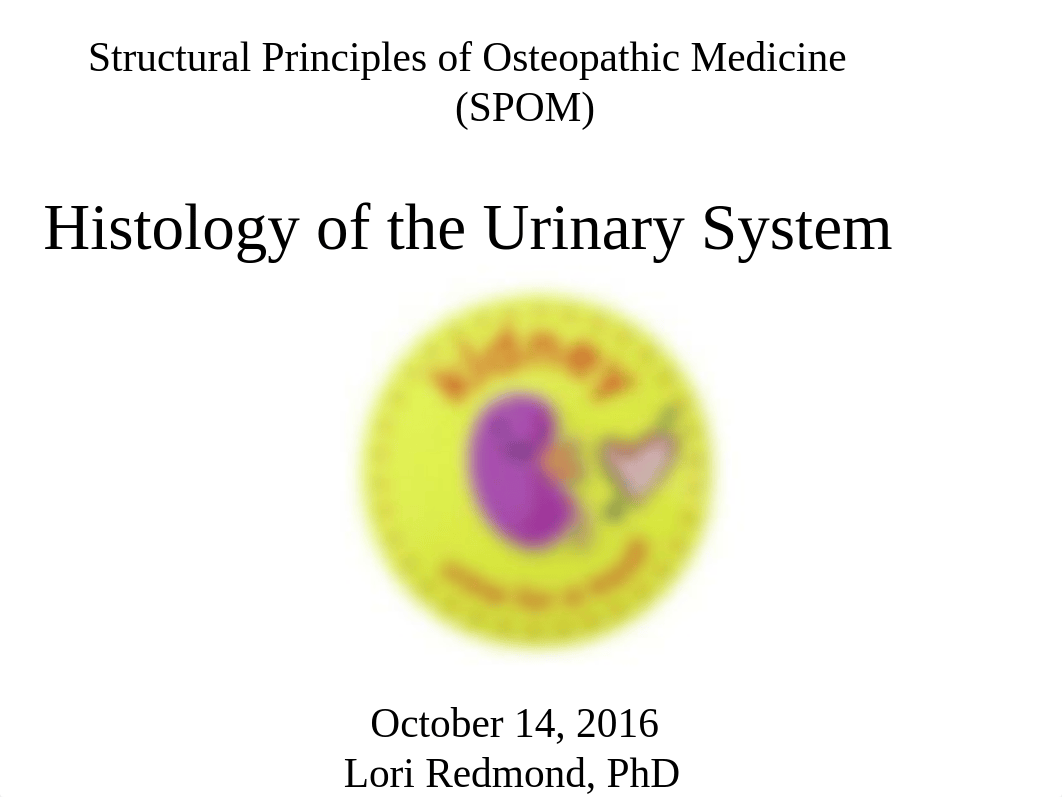 101416 Histo Urinary System - student_dsxm5s4gzk1_page1