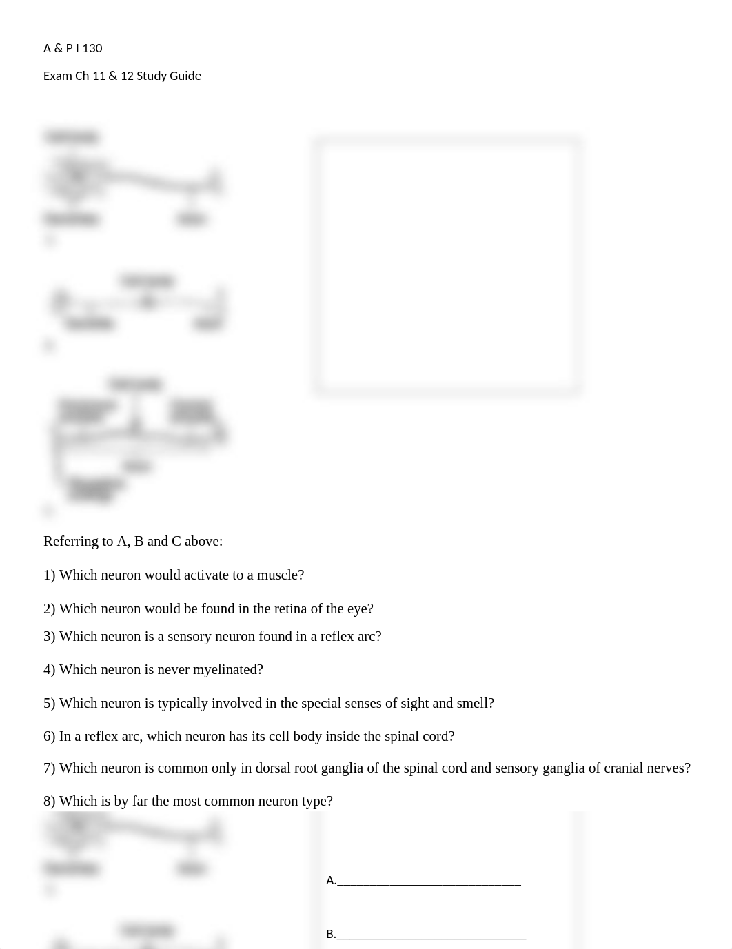A and P Exam 4 Ch 11 and 12 Nerve Study Guide (1)_dsxogyzn9l6_page1