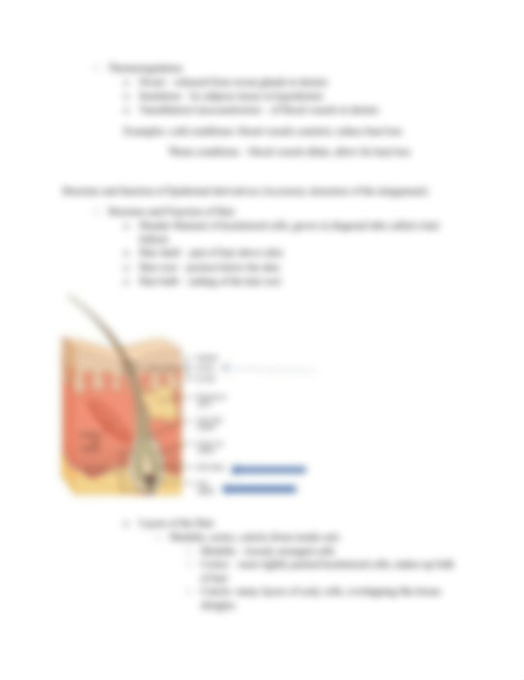 BIOS251 Weeks 5-7 Outlilne-Review.docx_dsxs2wl6pxl_page4