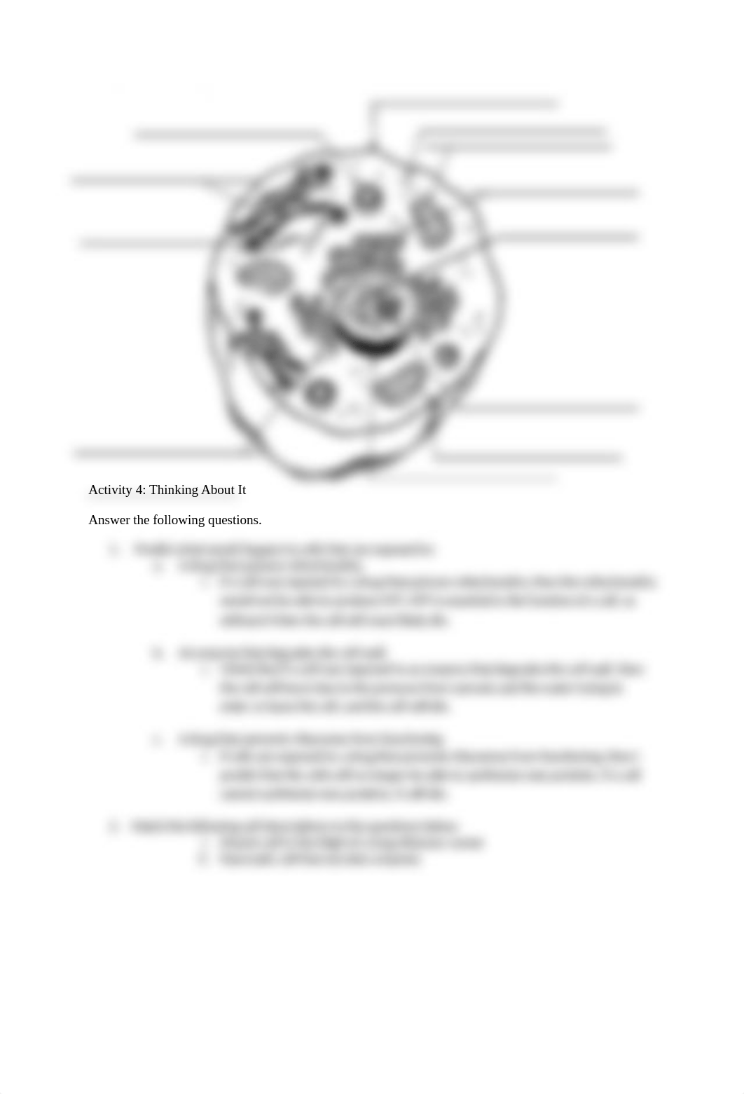 04Cell Structure and Function v2.docx_dsxtpr8umq6_page3