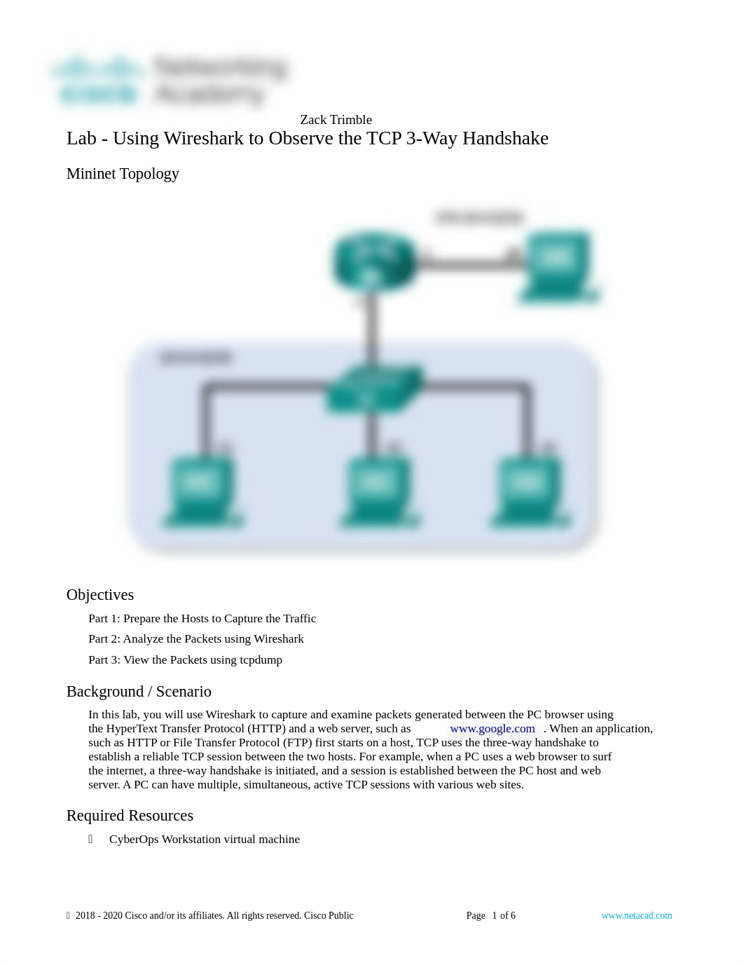 9.2.6 Lab - Using Wireshark to Observe the TCP 3-Way Handshake.docx_dsxxjqe28on_page1