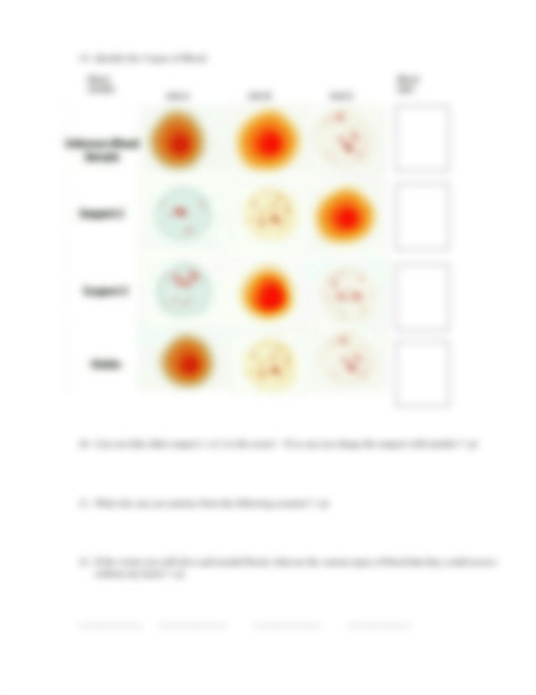 Blood Spatter Questions(1).docx_dsxyyr90prn_page3