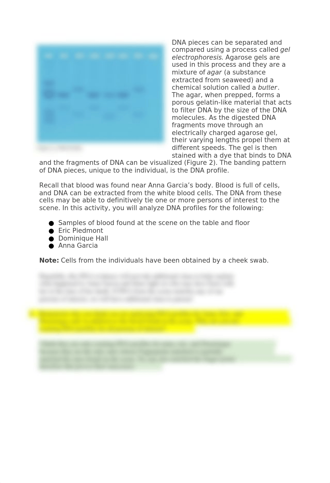 Copy of 116_DNA_Analysis.docx_dsy1c75n56s_page2