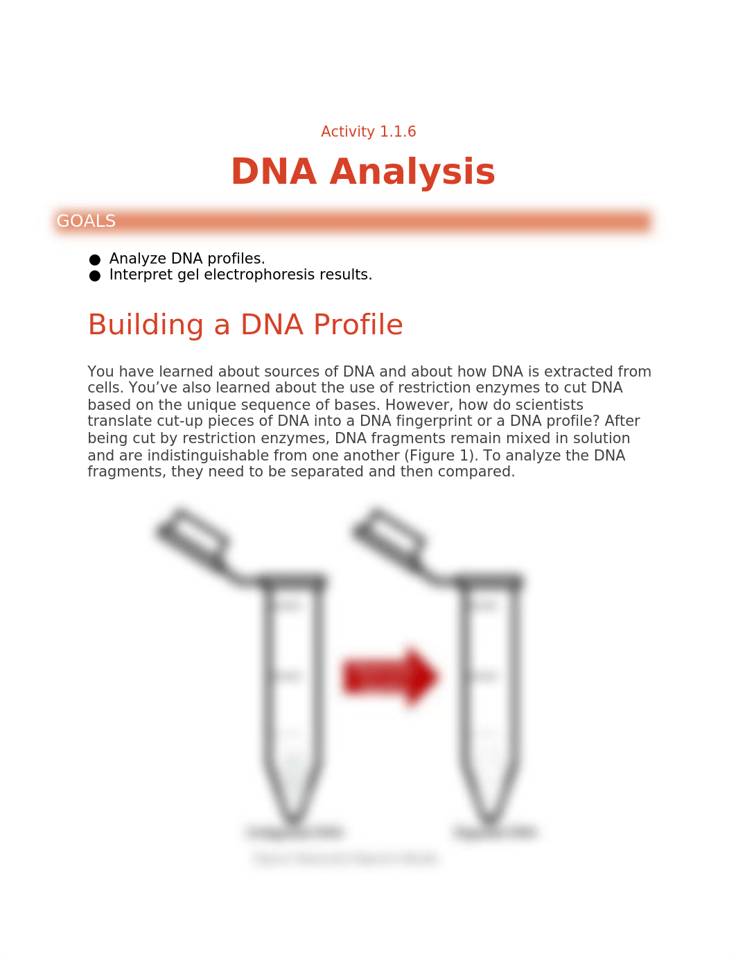 Copy of 116_DNA_Analysis.docx_dsy1c75n56s_page1