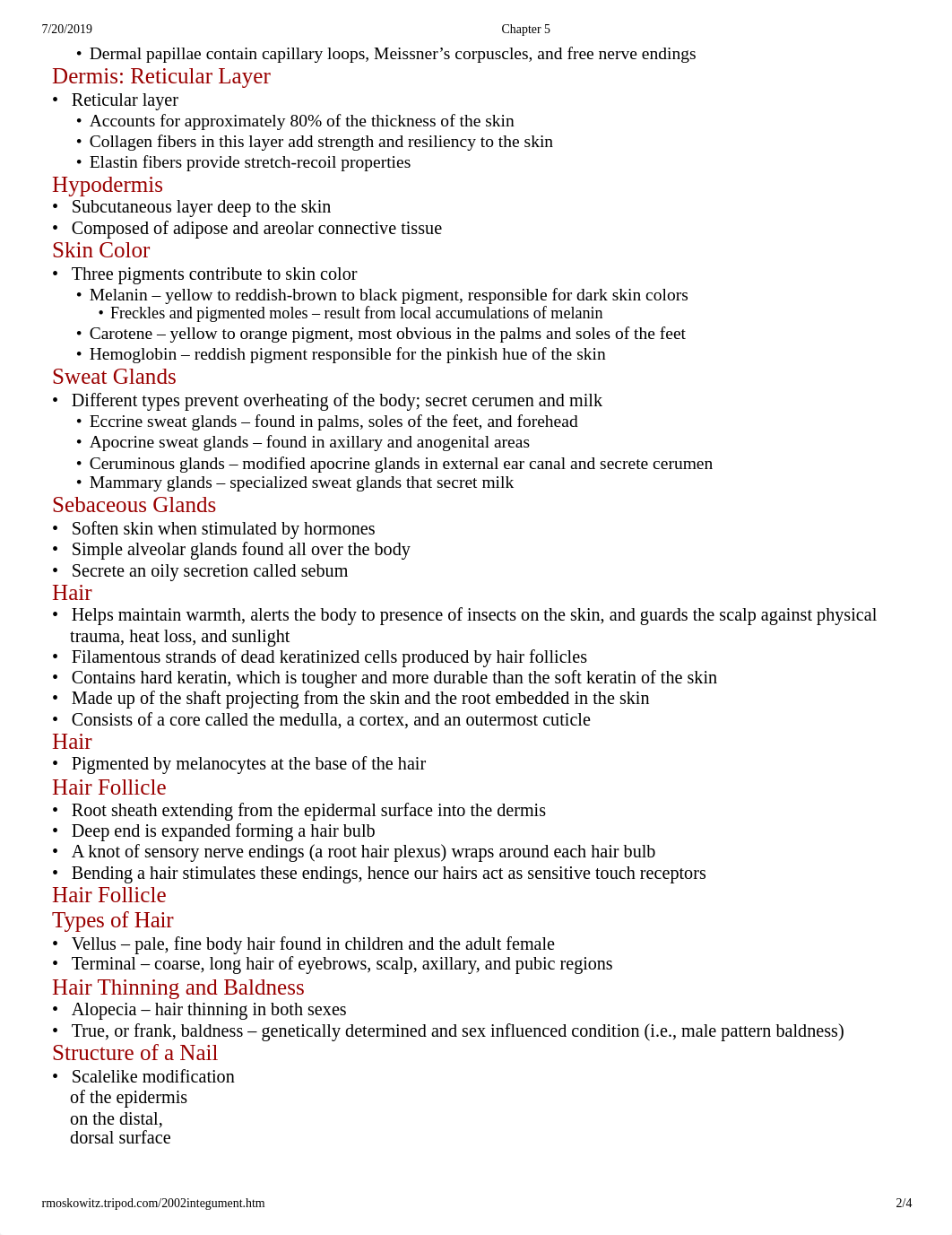 Chapter 5-Integumentary System.pdf_dsy1fztstd7_page2