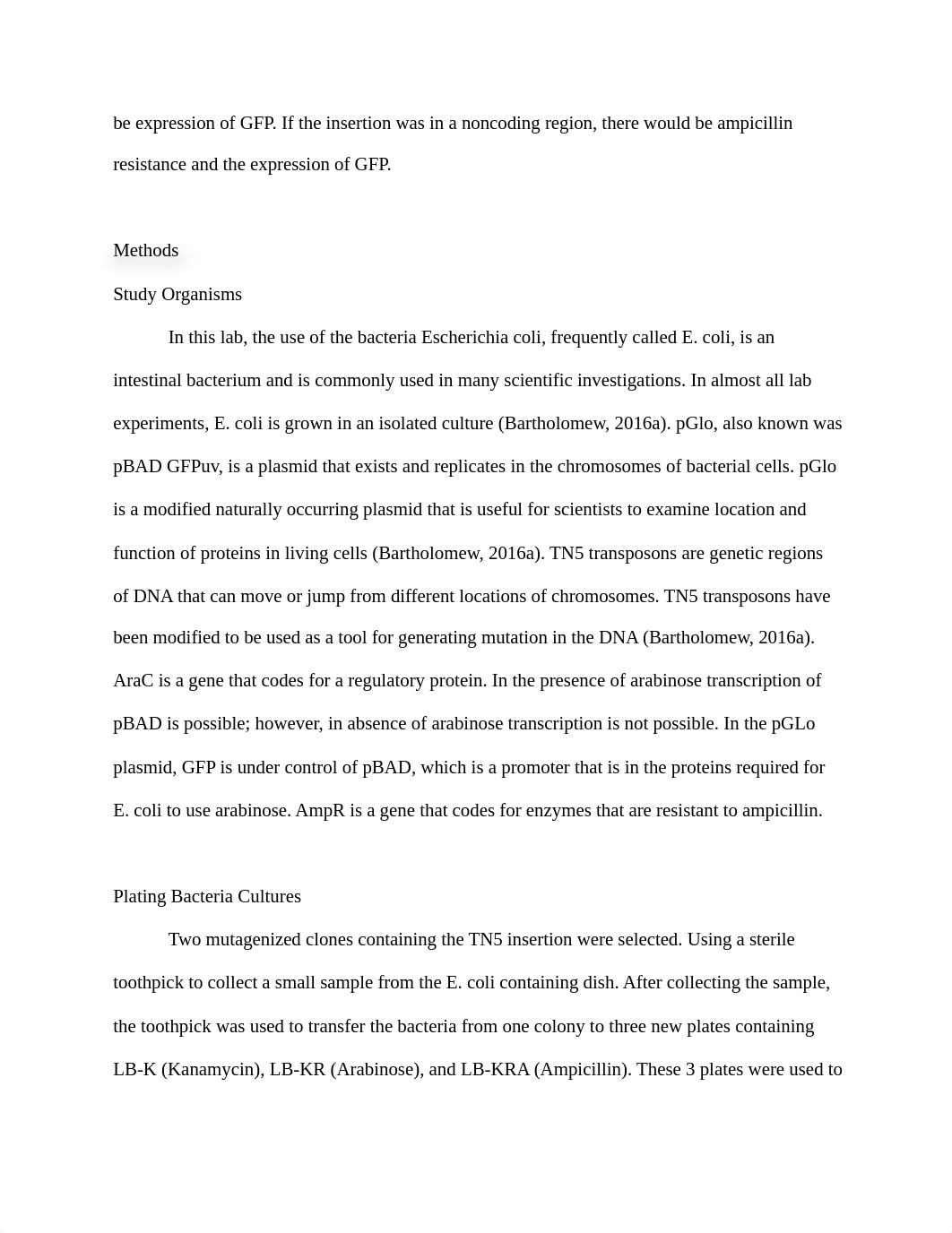 pglo lab report.docx_dsy5so7mk1z_page2