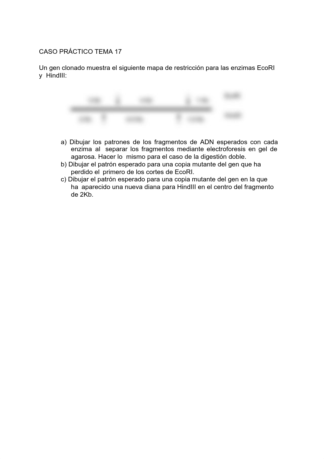 CASO PRÁCTICO TEMA 17 Y 18.pdf_dsyae9eqrsb_page1