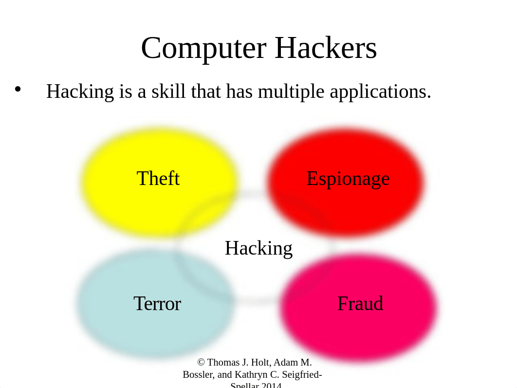 Ch2_Computer_Hackers_and_Hacking (1)_dsyahwre6q1_page4