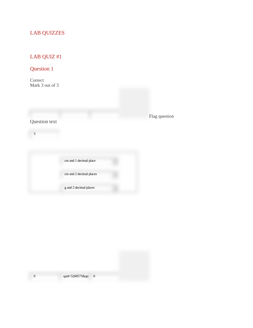 CHEM LAB QUIZZES (1).docx_dsye2w16i1i_page1