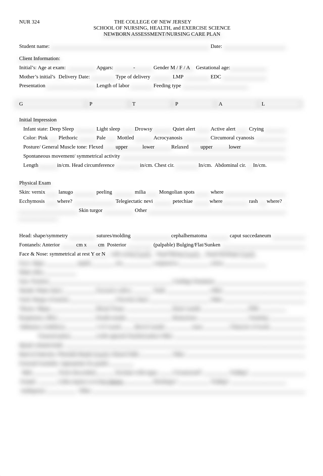 Newborn+assessment.docx_dsyfmj01qtp_page1