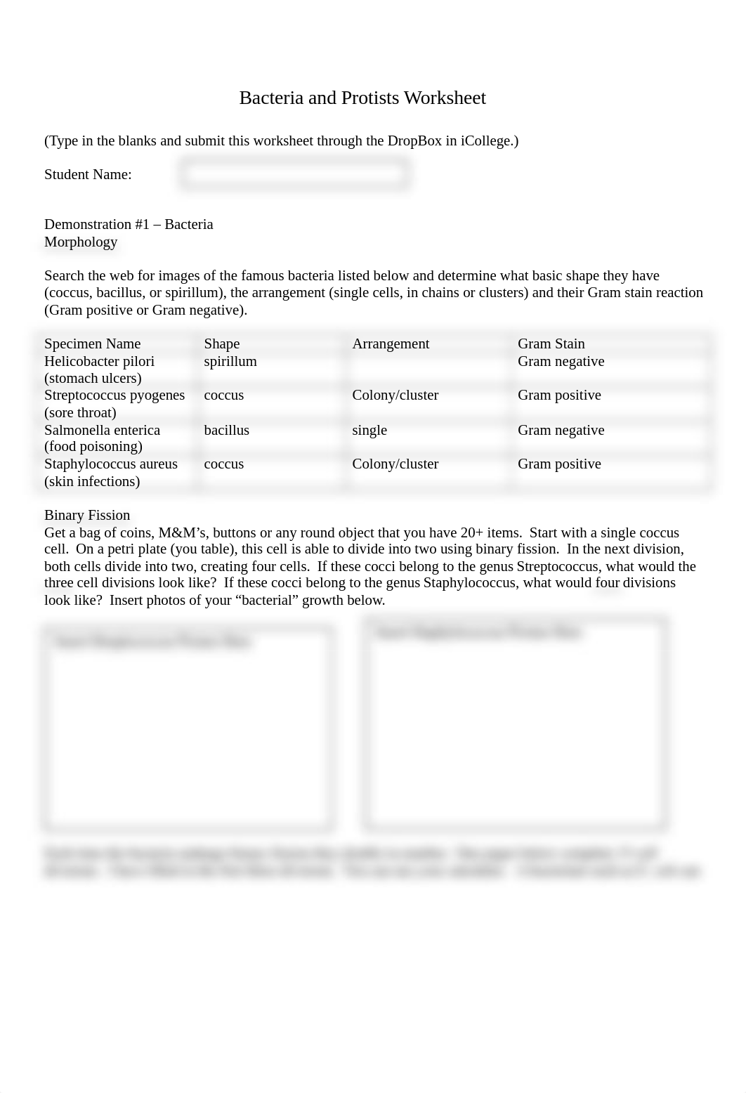 Bacteria and Protist Worksheet.doc_dsyjgkuy2fa_page1