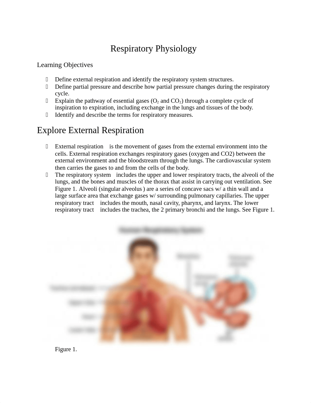 Lab#8 Respiratory Physiology Laboratory.docx_dsyorhtri1t_page1