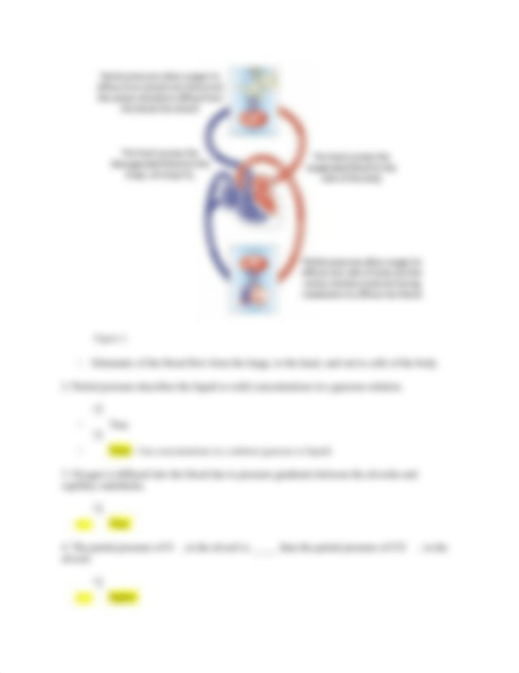 Lab#8 Respiratory Physiology Laboratory.docx_dsyorhtri1t_page3