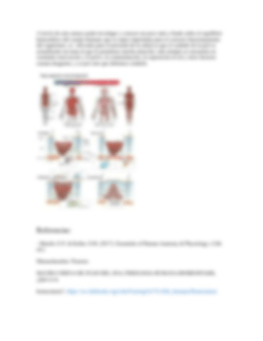 Importancia de la piel para el equilibrio homeostático del cuerpo humano_Flabia Perez.docx_dsyv5wu6hbx_page3