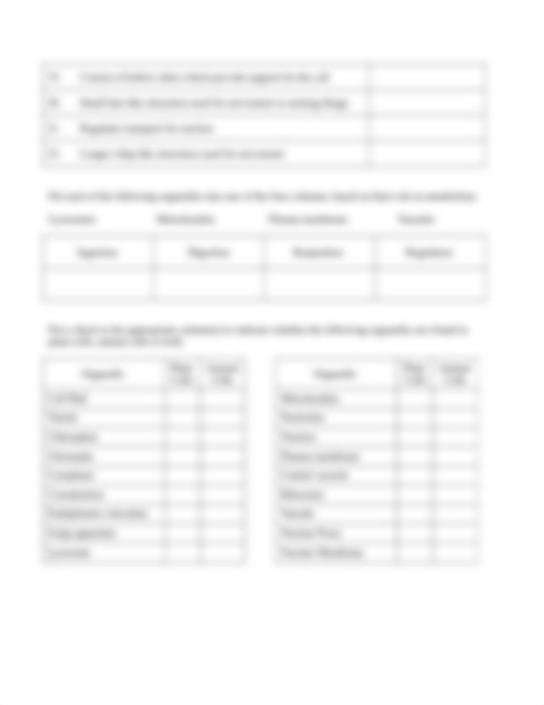 Organelle Function Wkst (1) (1)_dsyy22wc3pa_page2