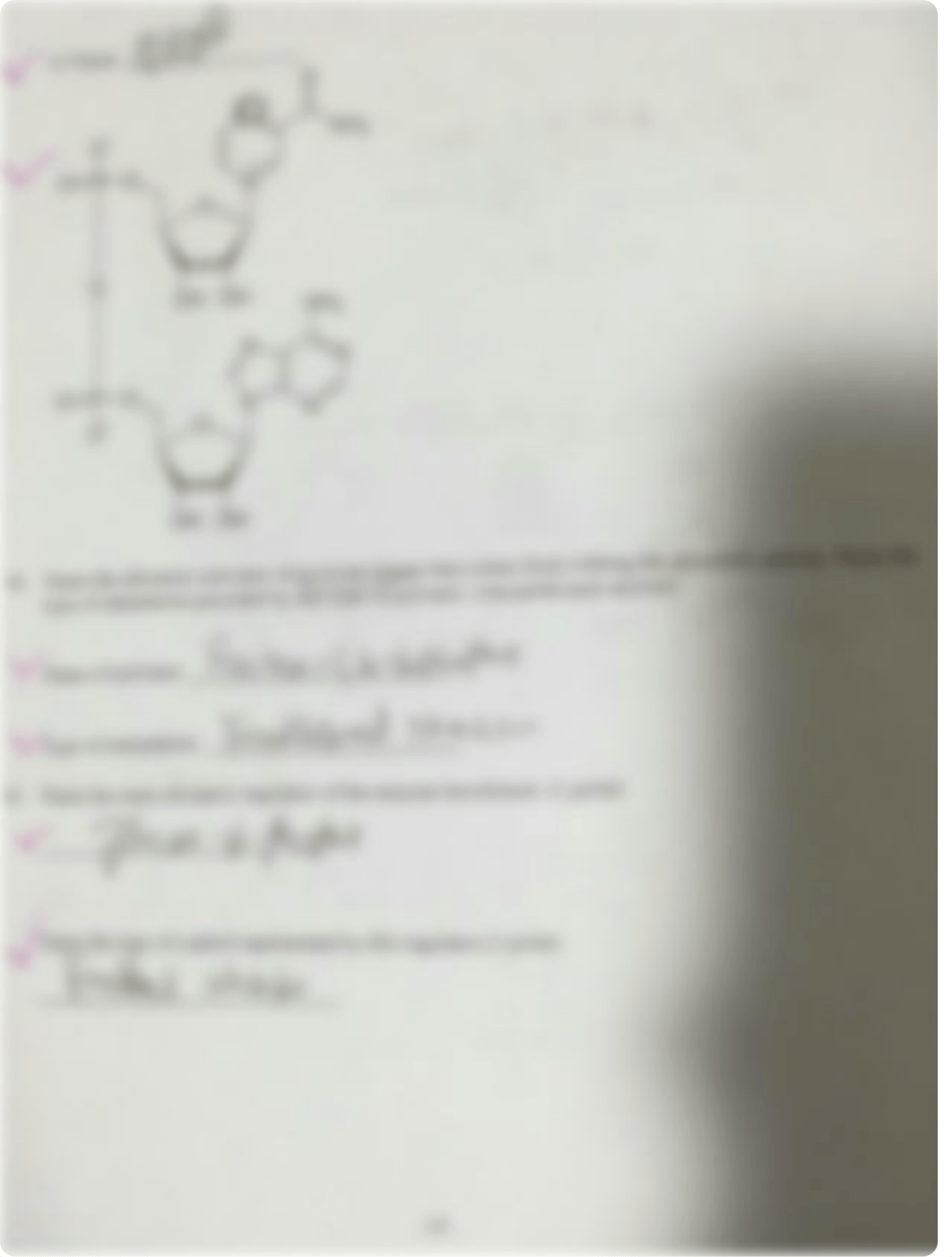 Biochem exam-2.pdf_dsz4u5qmu7g_page4