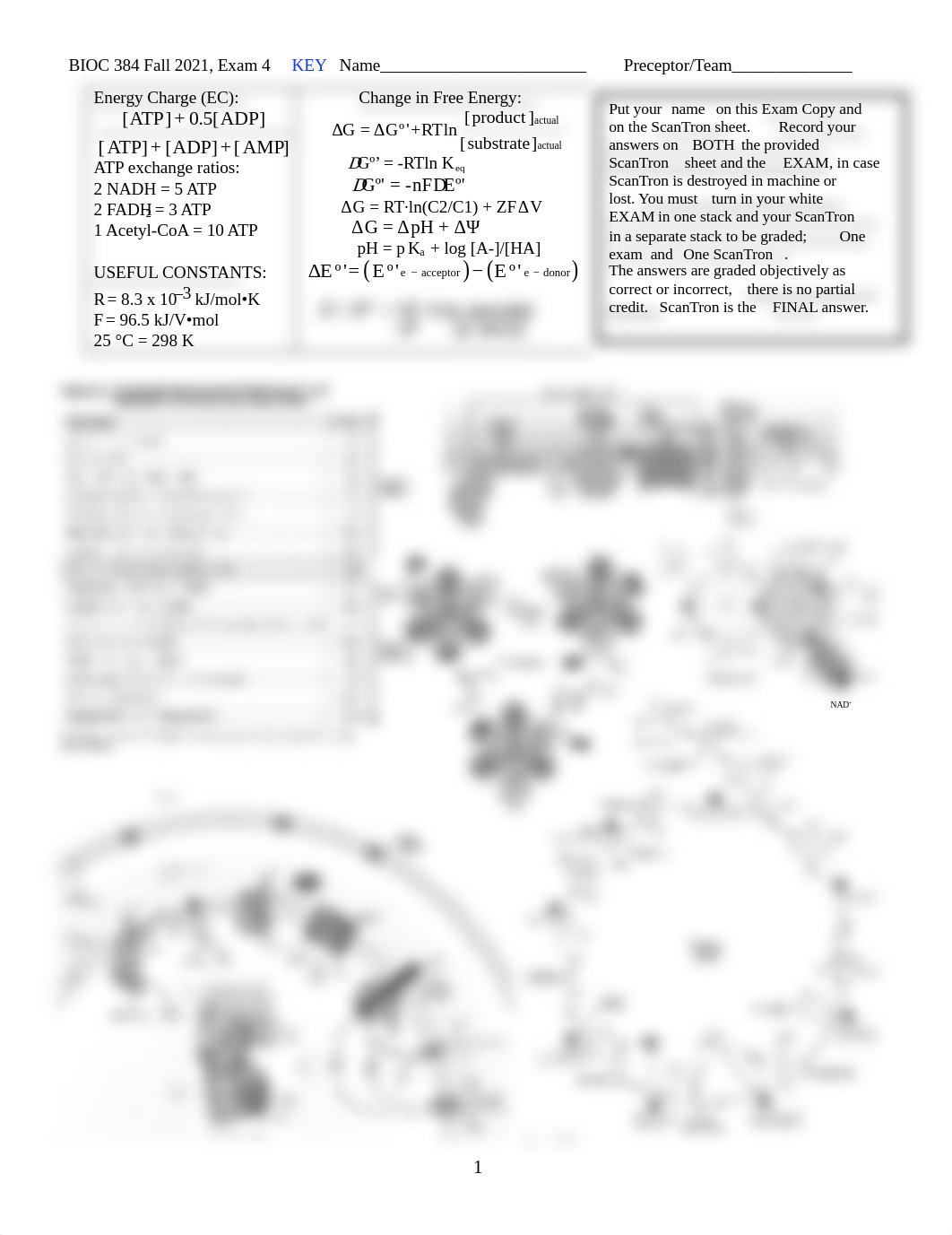 Bioc384-Exam4-Fall2021-KEY.pdf_dsz6c8pnt6y_page1