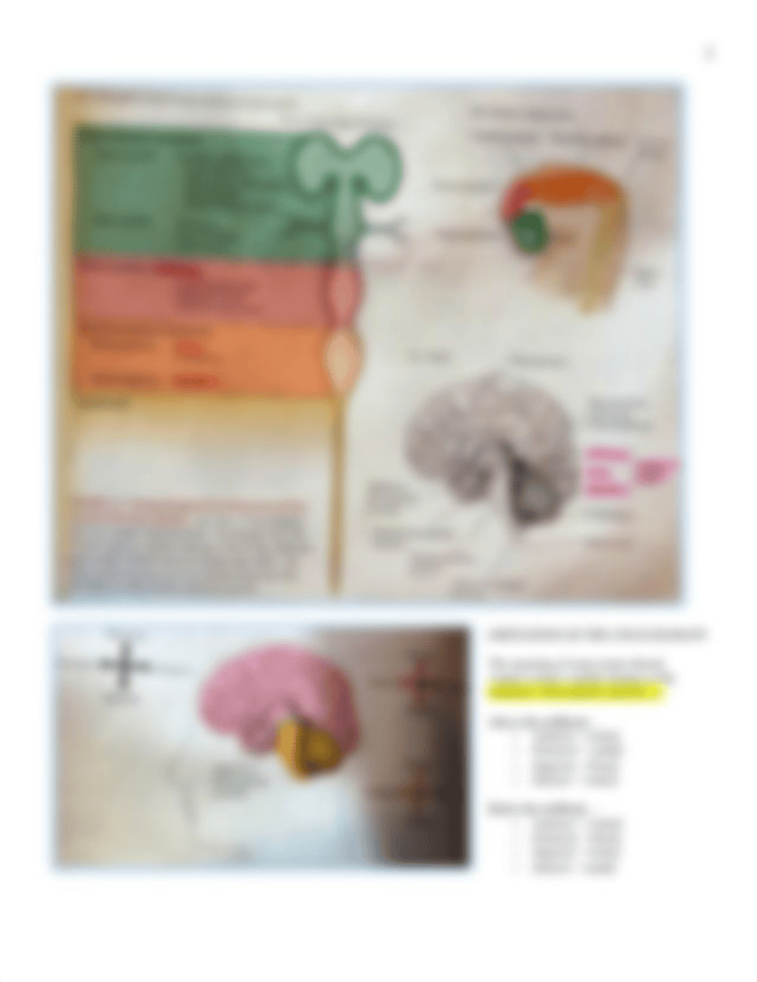 Neuro - 2 - Basic Overview - BL_dsz96jseba0_page2