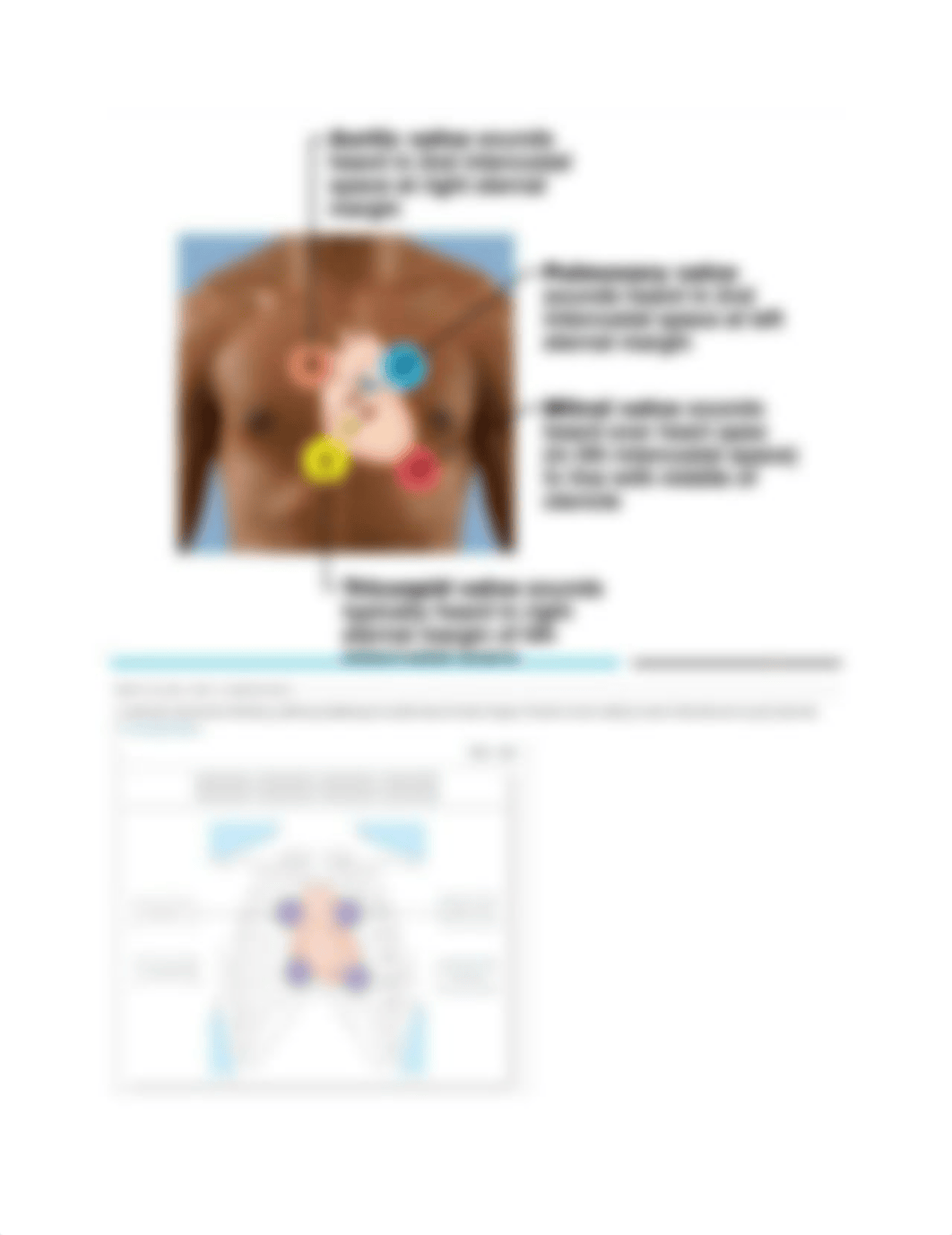 A&P II Lab 5 Heart.docx_dsztifpvlkj_page3