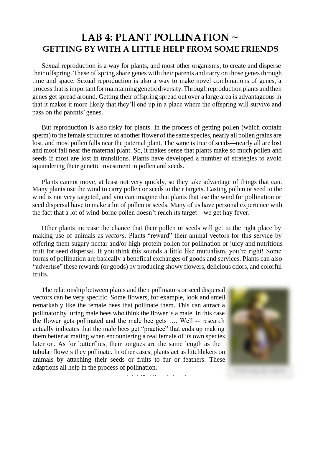 Online Lab 4 Pollinators (1).pdf_dszton7x7to_page1