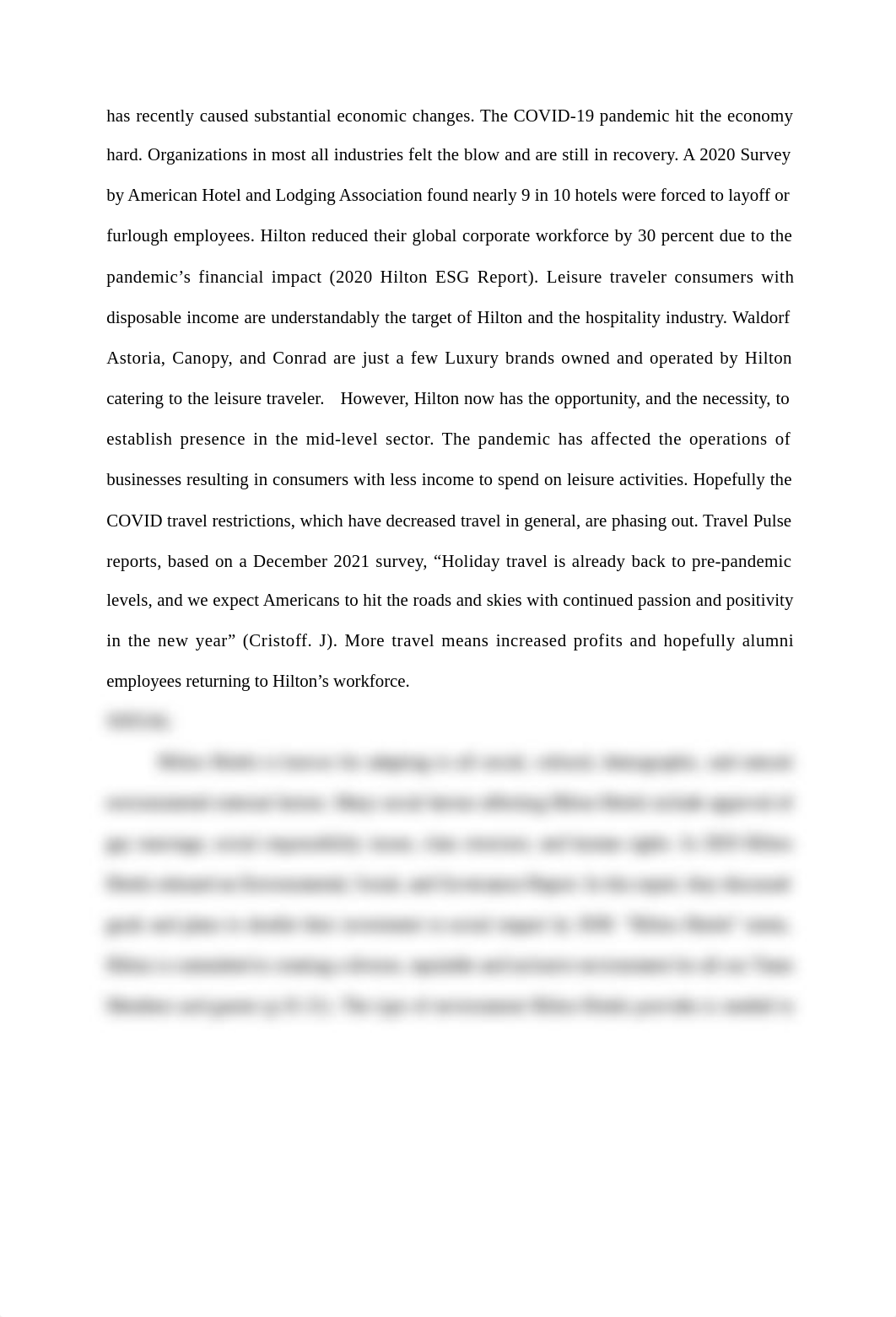 Hilton Analysis.docx_dt01iygvbii_page3