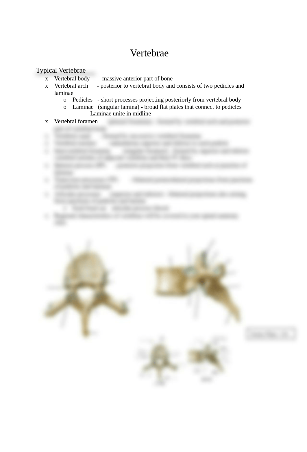 Unit 1 anatomy of the back.pdf_dt0245zlrwo_page4