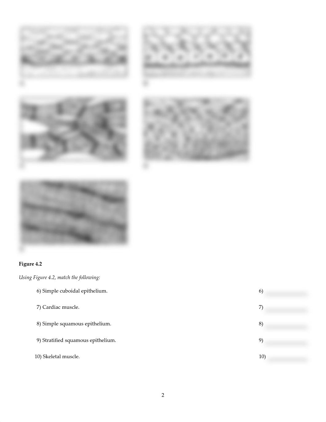 Untitled4.pdf_dt0ilodl5r1_page2