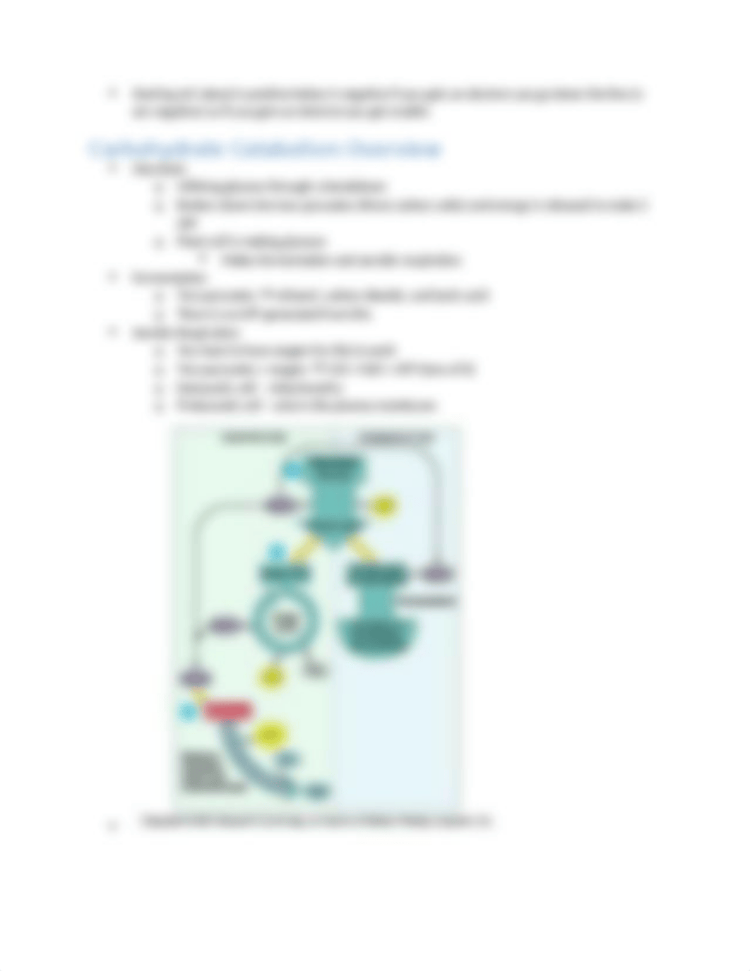 Microbiology Test 3 Notes (1).docx_dt0spgww9yx_page5