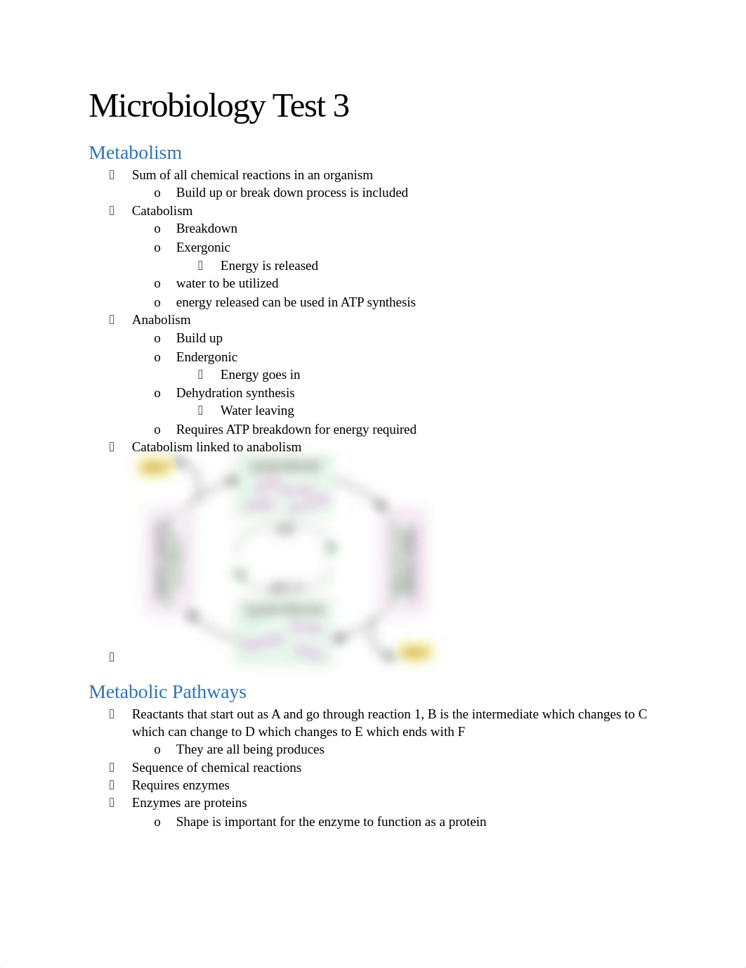 Microbiology Test 3 Notes (1).docx_dt0spgww9yx_page1