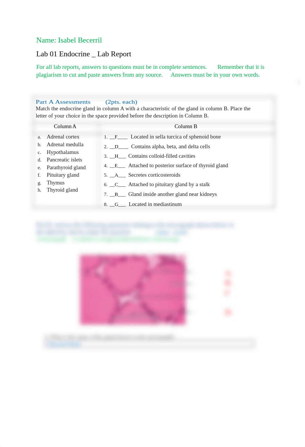 Lab - Endocrine System Lab Report Submission_ f17.doc_dt0vi62utcs_page1