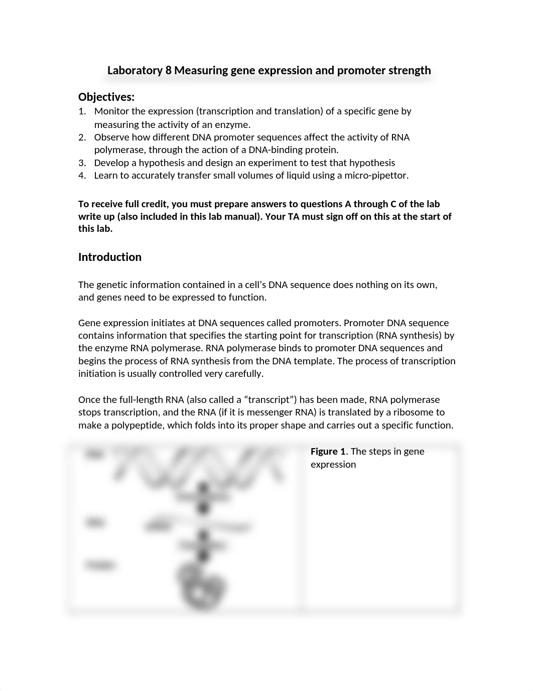 Lab 8 Gene Expression Lab Manual.docx_dt11twqjbu7_page1