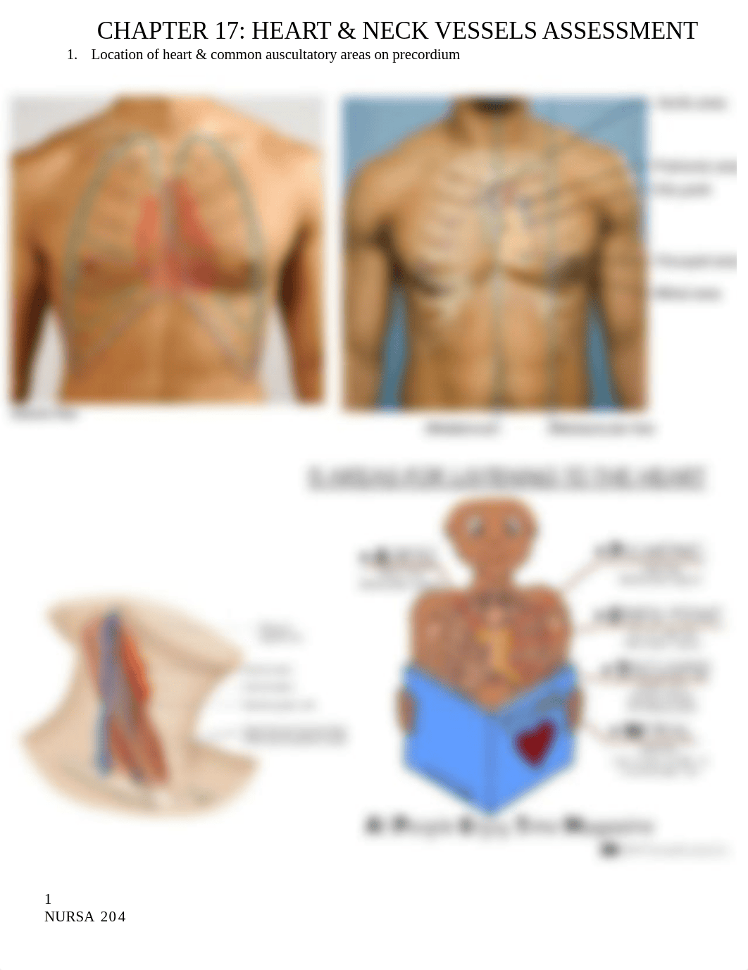 Ch. 17 Heart & Neck Vessels Assessment.docx_dt13fl400ty_page1