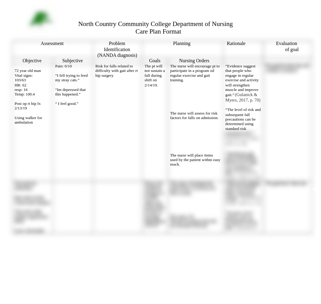 care plan week 2 spring 19.doc_dt14juylc55_page1