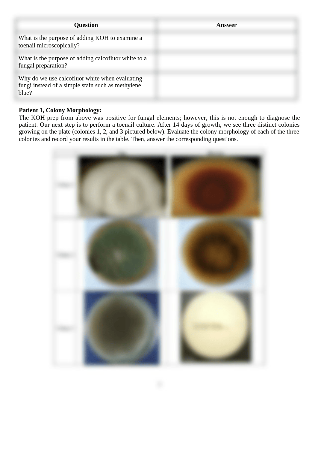 Labs 5-6 Mycology and Parasitology.docx_dt1devf8j0r_page2