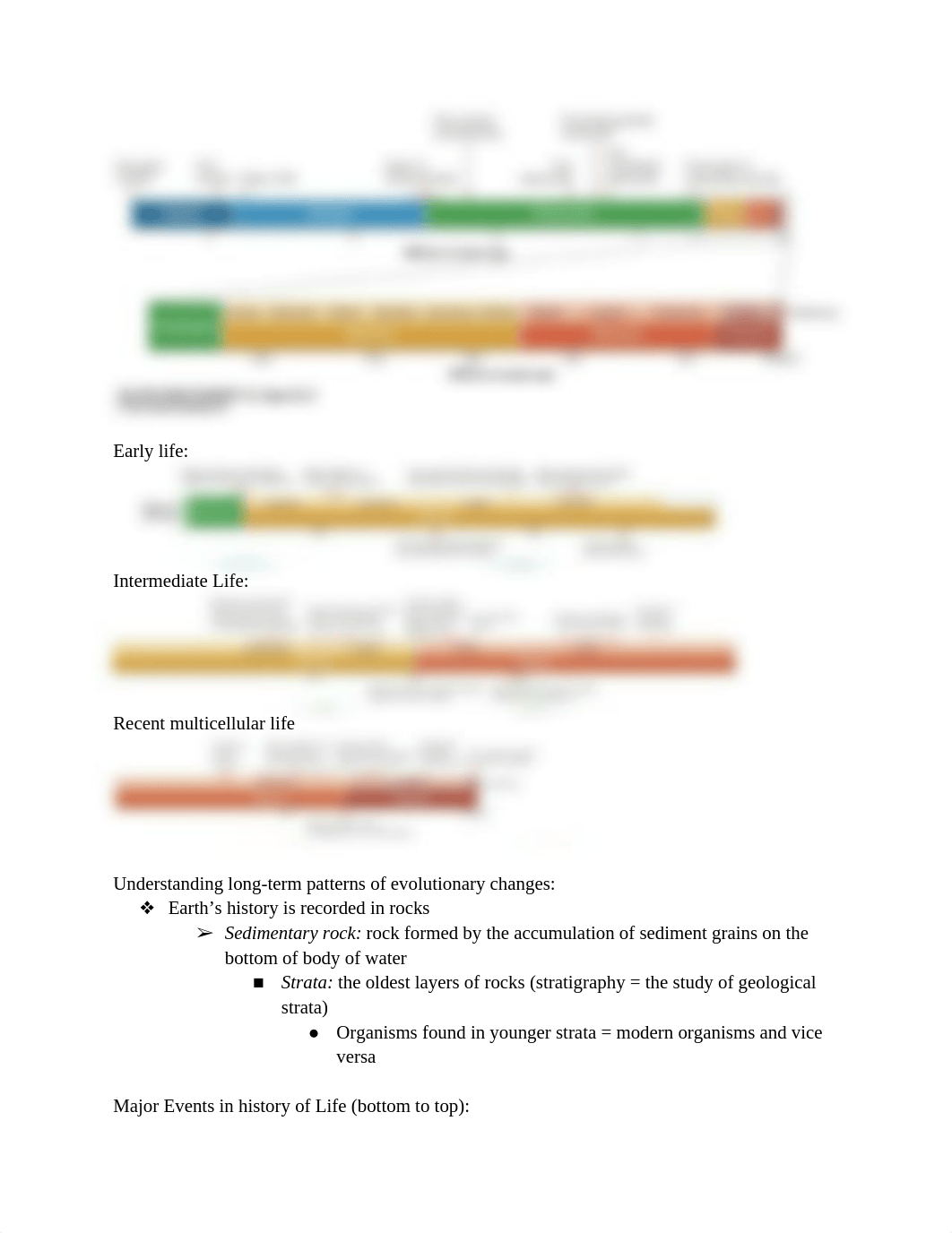 Exam 3: Biology182_dt1dslbimpe_page2