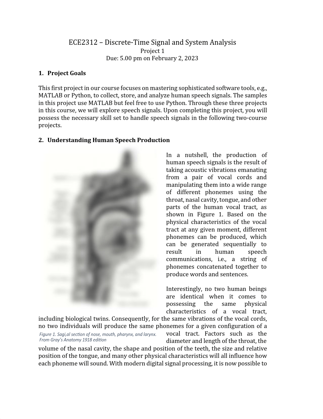 project1.pdf_dt1nbnplkbx_page1