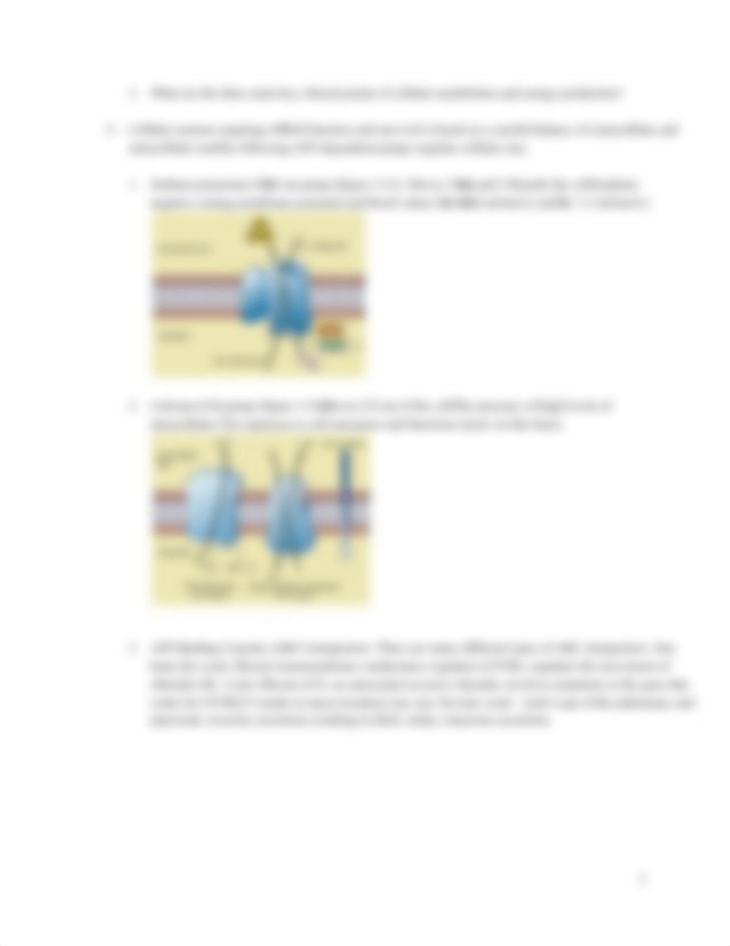 NSG 510 Cell Injury Adaptation and Death 6th ed 1 8 20.docx_dt1r187pwh1_page3