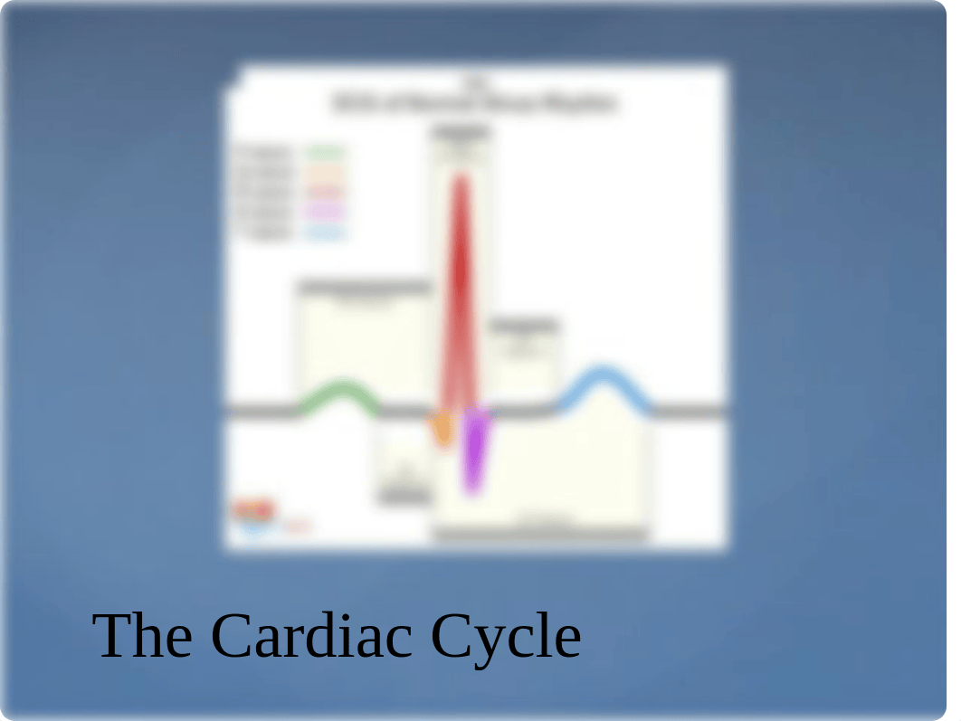 EKG Interpretation.pptx_dt1tzil962c_page3