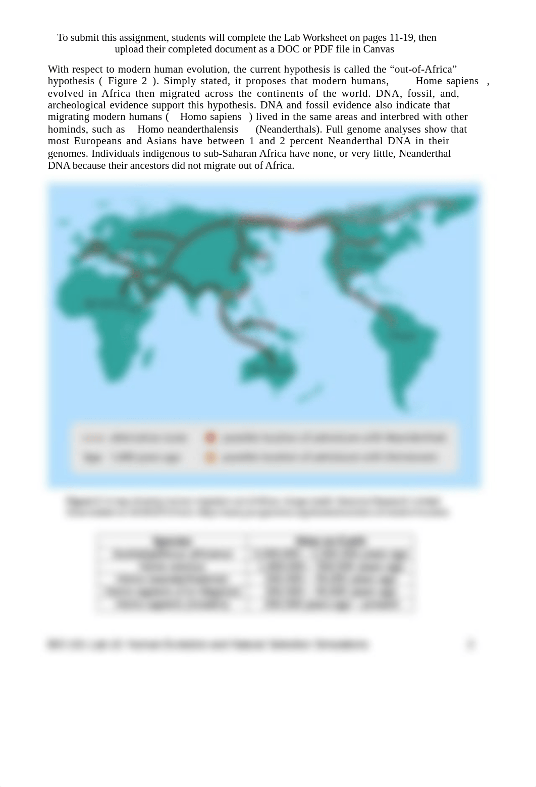 BIO 101 Lab 11, Human Evolution-2.docx_dt1w2wh4xcs_page2