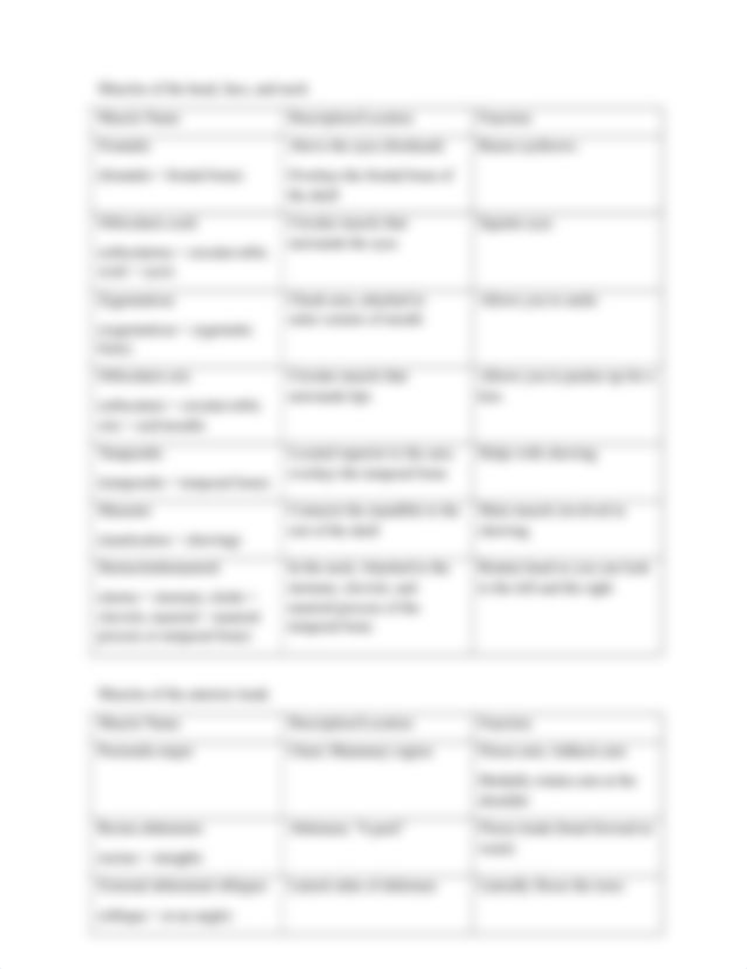 Lab 7. Muscles to know lab handout-2-1.docx_dt22ks4uppb_page2