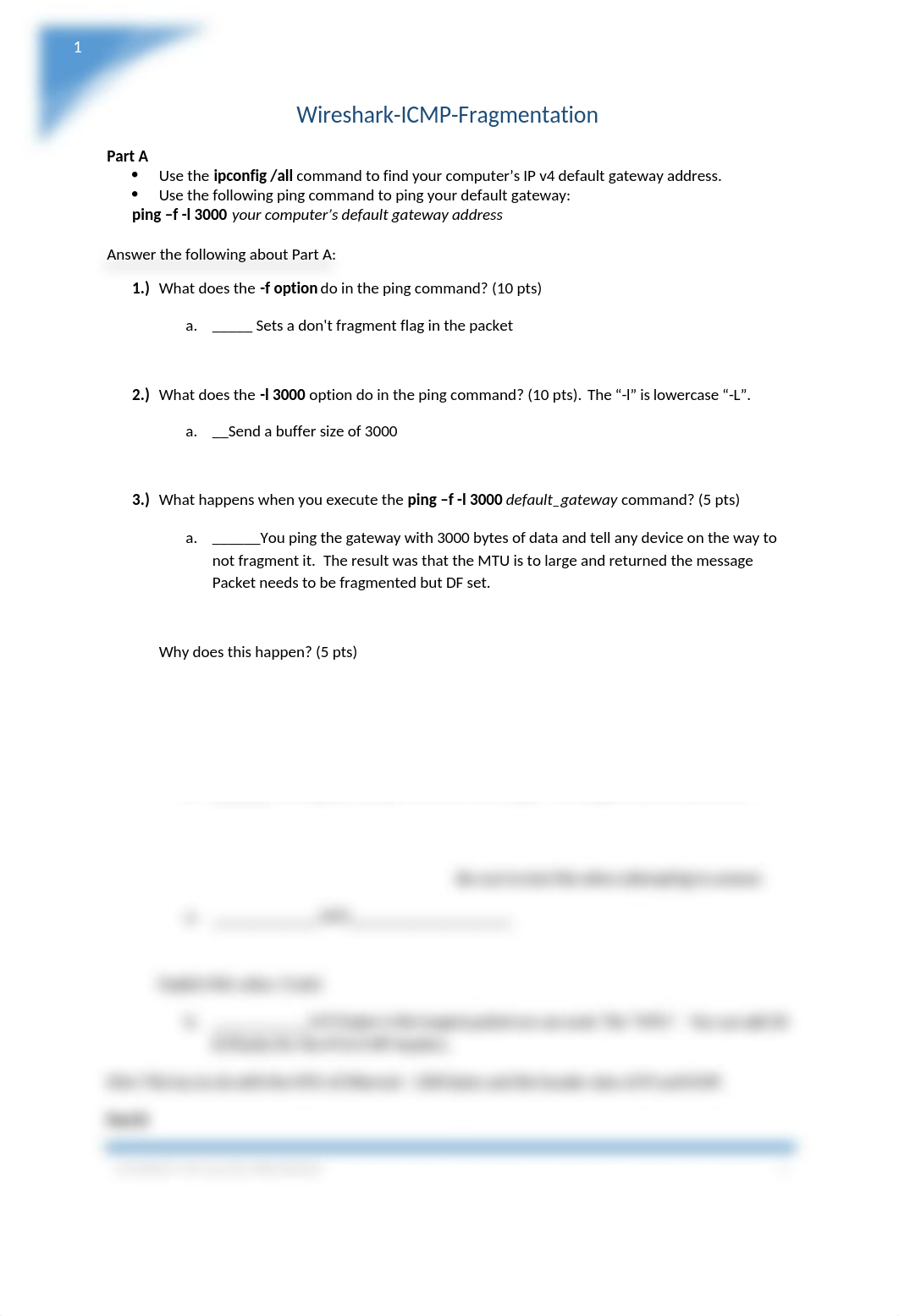 Wireshark-ICMP-Fragmentation.docx_dt23uzyscu5_page1