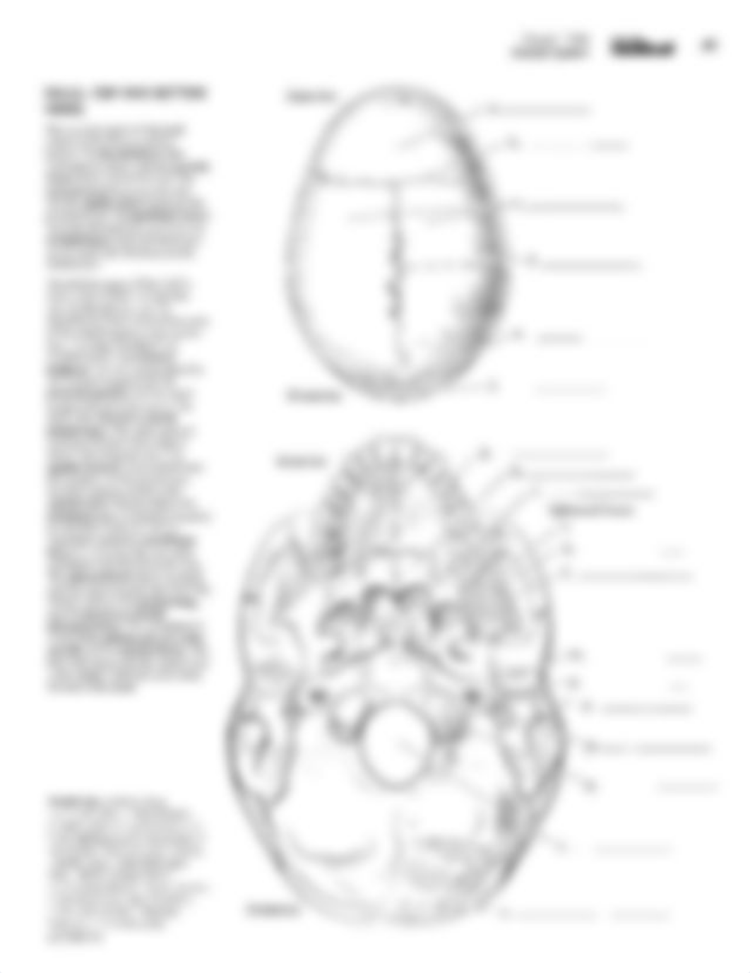 Color Label Book Skeletal System.pdf_dt26tc557jg_page3