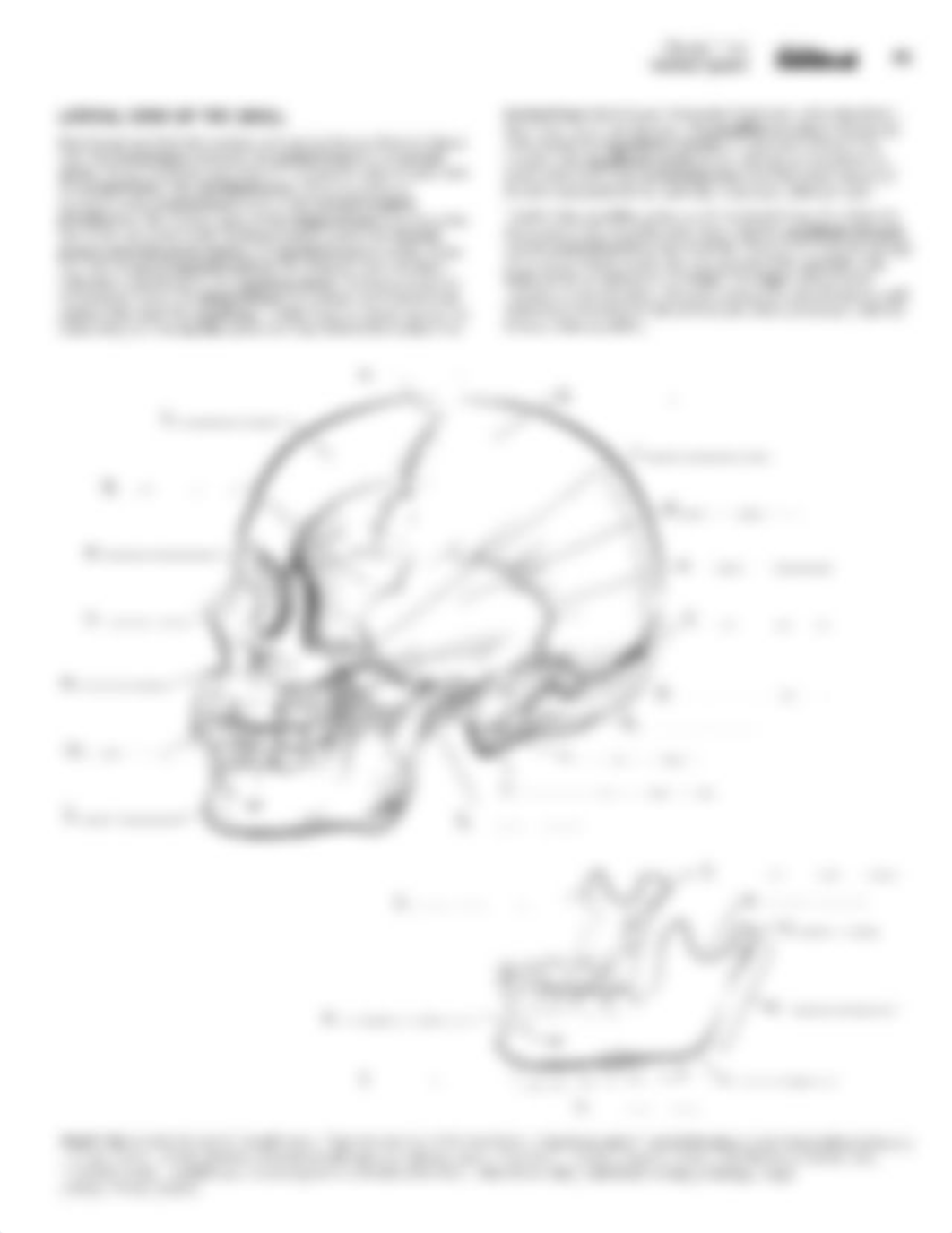 Color Label Book Skeletal System.pdf_dt26tc557jg_page2