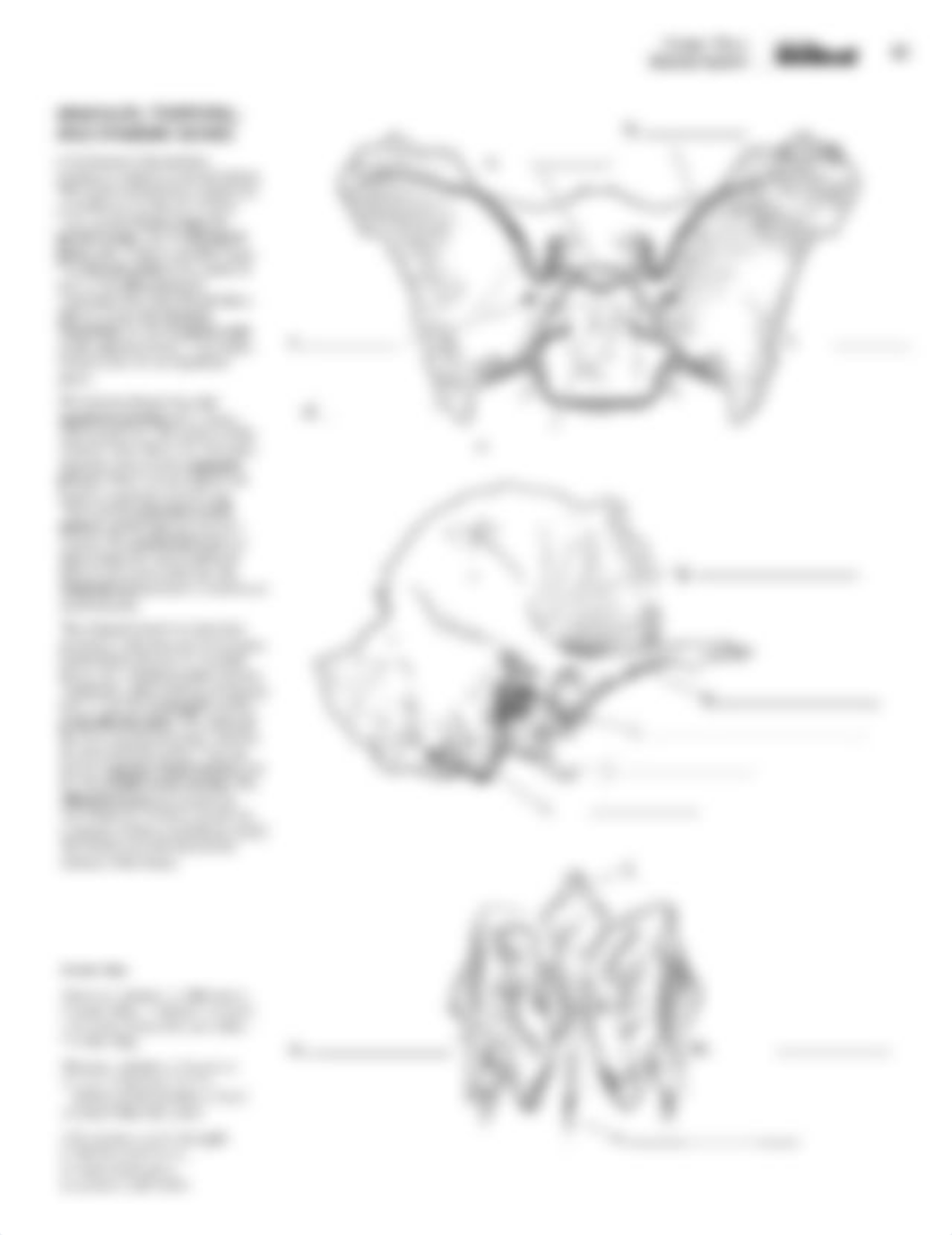 Color Label Book Skeletal System.pdf_dt26tc557jg_page5