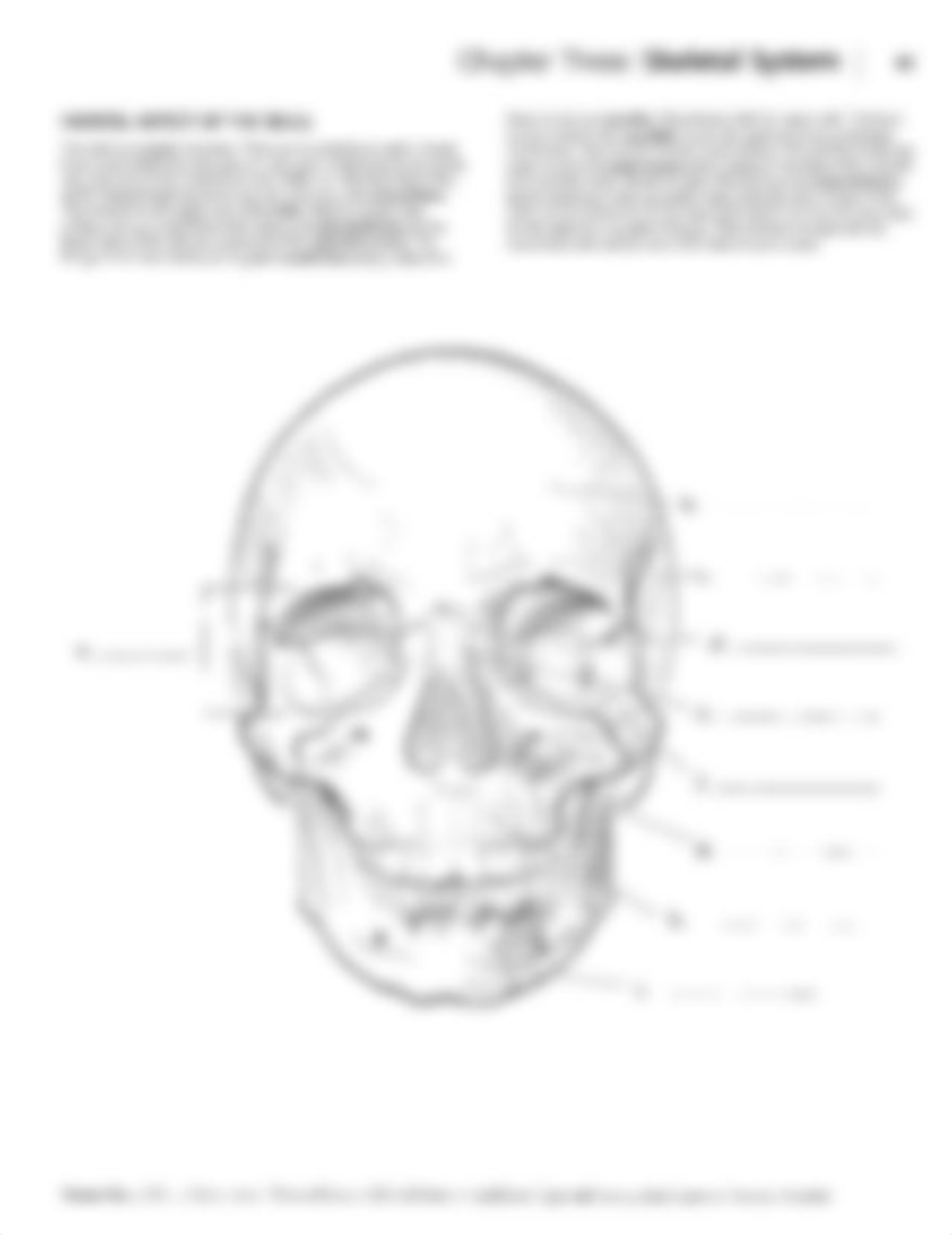 Color Label Book Skeletal System.pdf_dt26tc557jg_page1