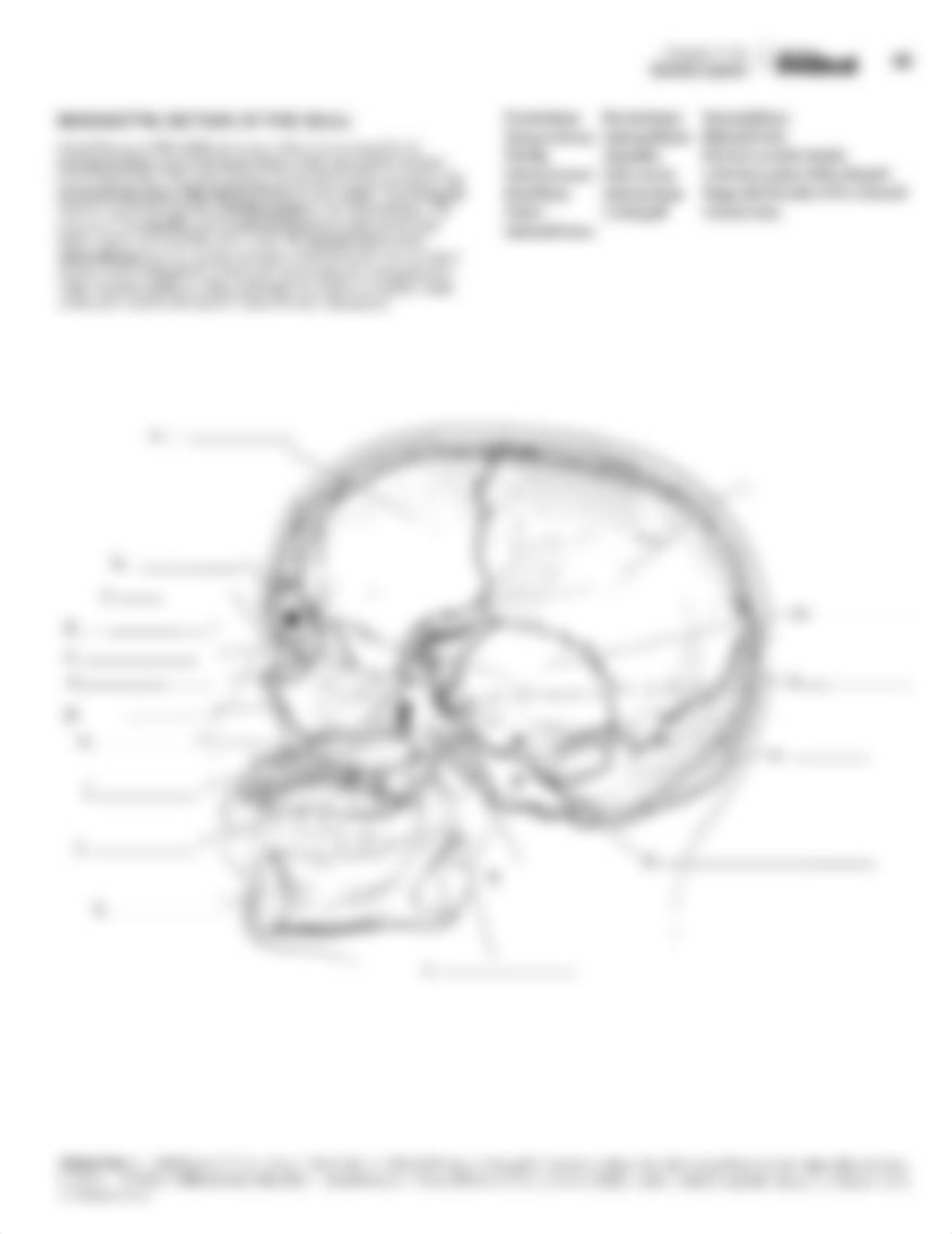 Color Label Book Skeletal System.pdf_dt26tc557jg_page4