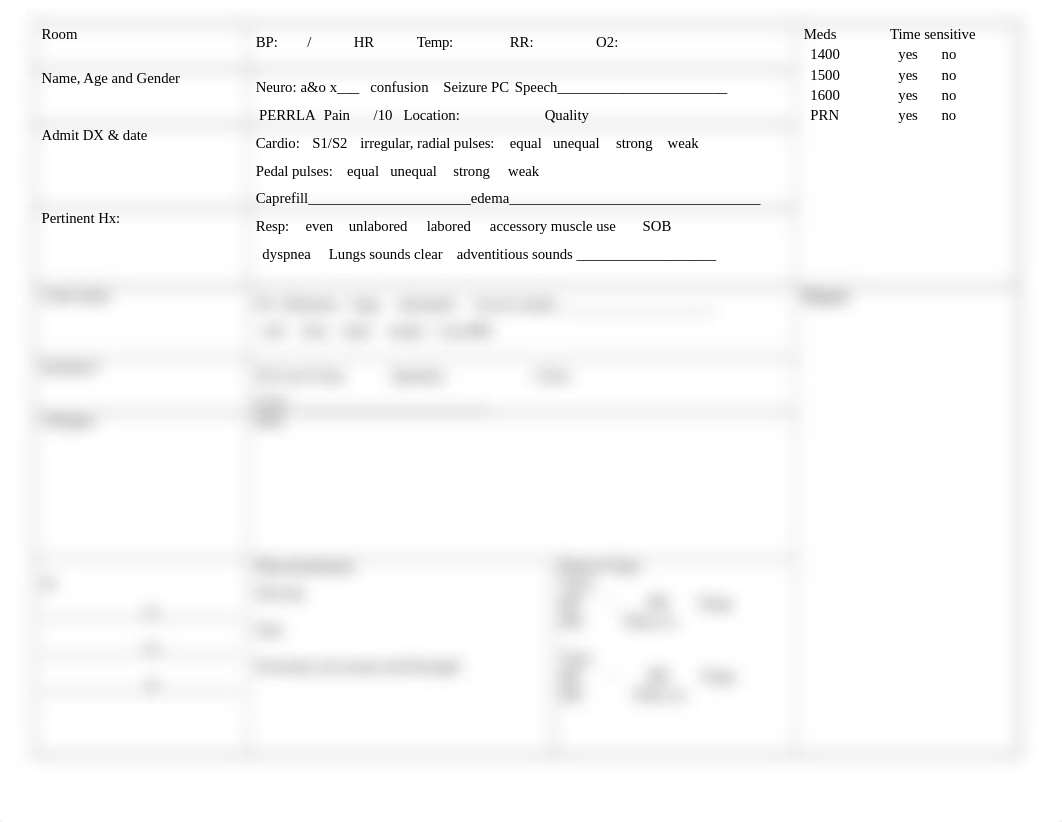 Nursing assessment. sheet.docx_dt29edatcec_page1